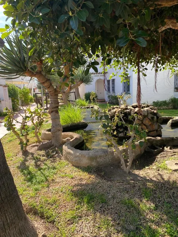 טורוקס Laguna Beach